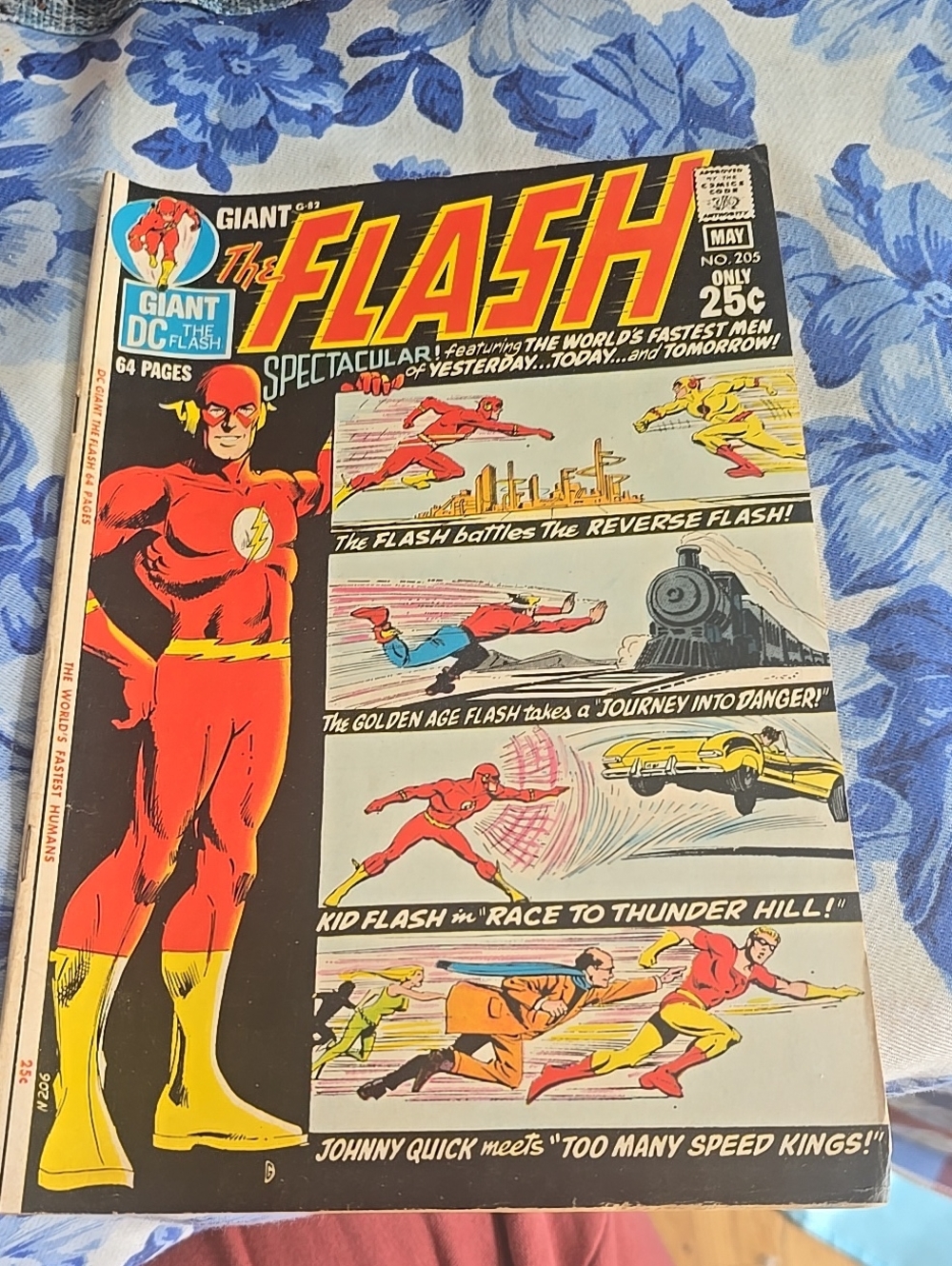Flash #205 (1971) DC Comic Carmine Infantino/Ramona Fradon, Professor Zoom